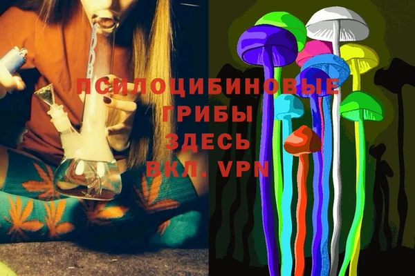 марки nbome Пересвет