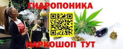прущие грибы Абинск