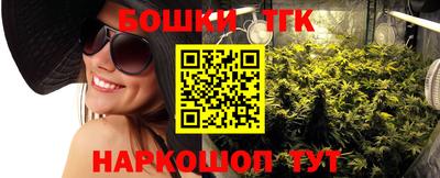 прущие грибы Абинск